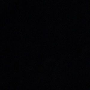 Meet your Posher, Malia